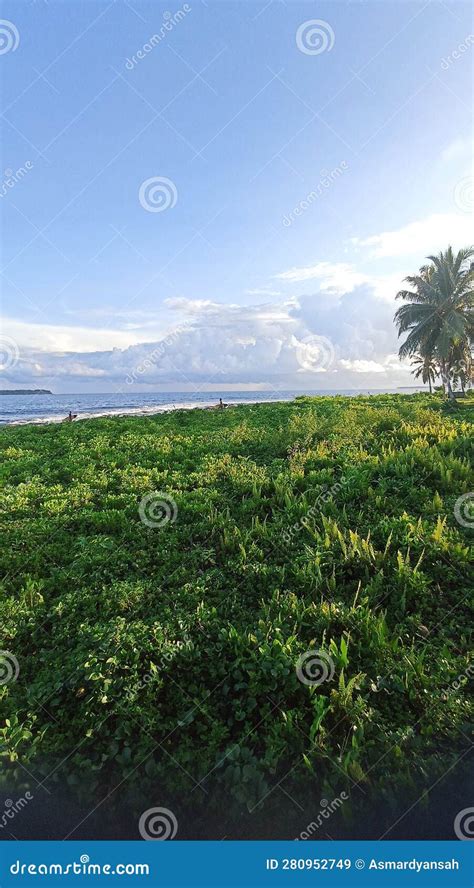 A Journey to Paradise: Exploring the Island Garden .